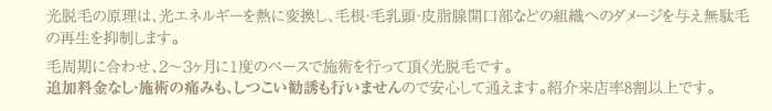 光脱毛の原理は、光エネルギーを熱に変換し、毛根・毛乳頭・皮脂腺開口部などの組織へのダメージを与え無駄毛の再生を抑制します。毛周期に合わせ、２～３ヶ月に１度のペースで施術を行って頂く光脱毛です。追加料金なし・施術の痛みも、しつこい勧誘も行いませんので安心して通えます。紹介来店率8割以上です。